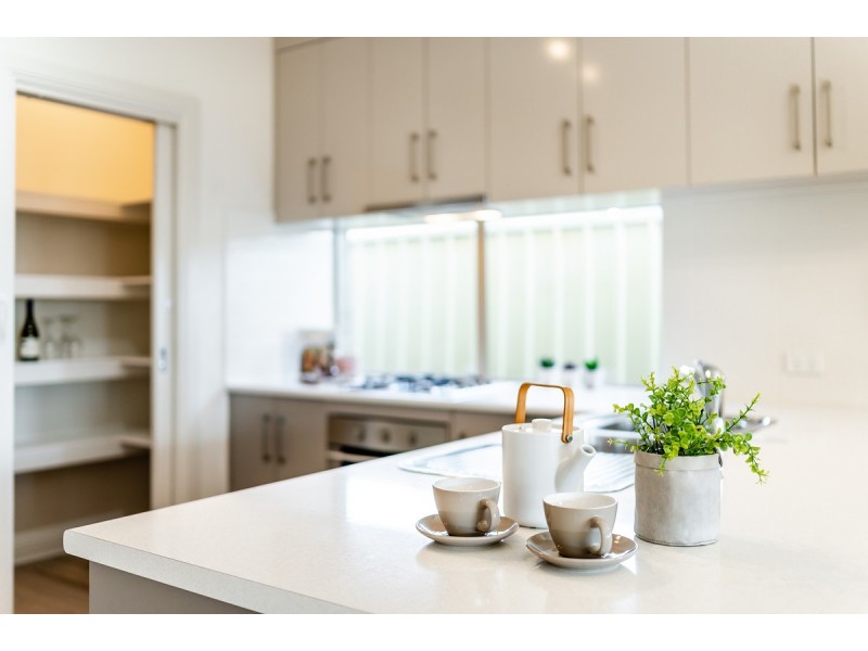 24a Edmund Avenue, Paradise SA 5075