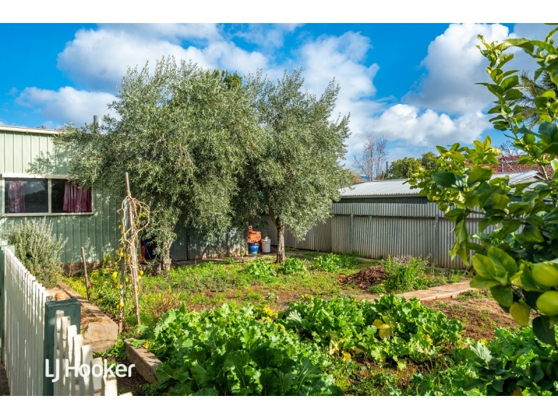 3 Thomas Avenue, St Morris SA 5068