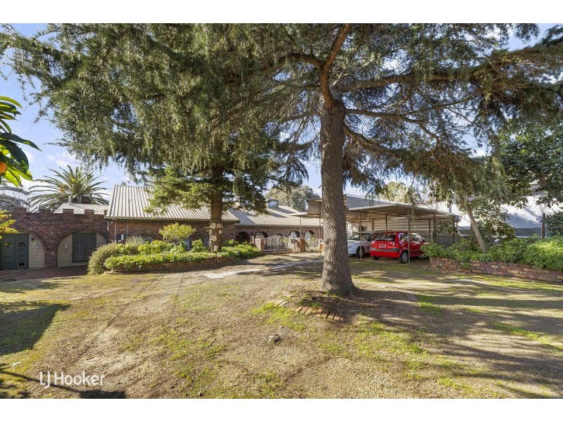 15 Walters Street, Tea Tree Gully SA 5091