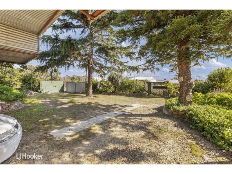 15 Walters Street, Tea Tree Gully SA 5091