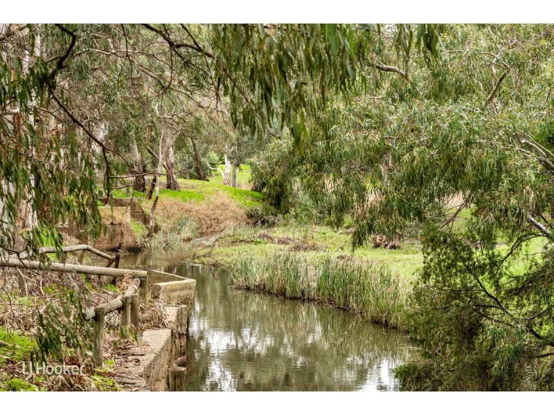 7 Riverview Drive, Paradise SA 5075