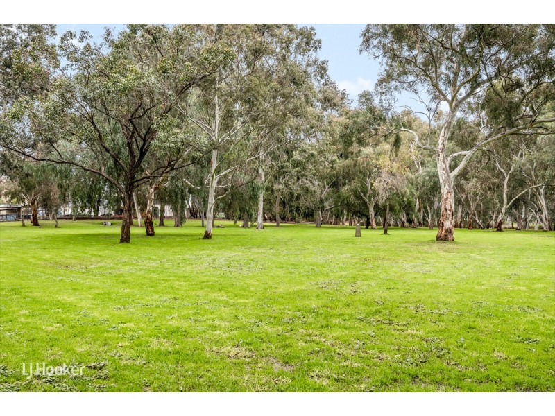 7 Riverview Drive, Paradise SA 5075