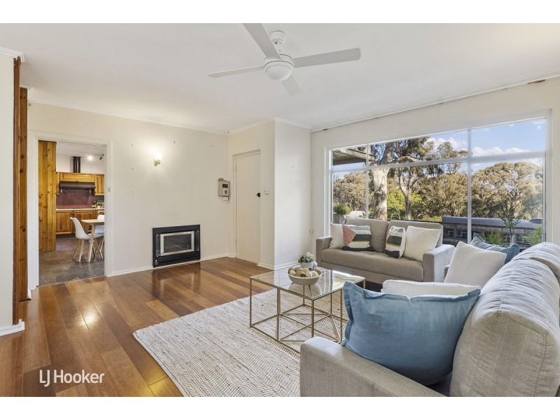 19 Alison Avenue, Blackwood SA 5051