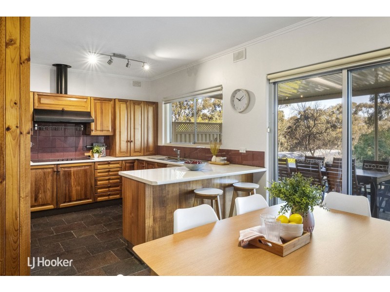 19 Alison Avenue, Blackwood SA 5051