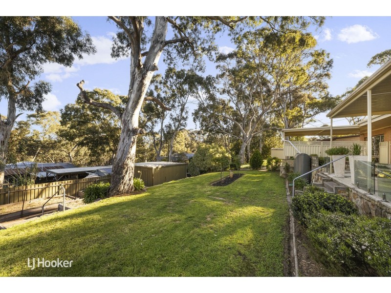 19 Alison Avenue, Blackwood SA 5051