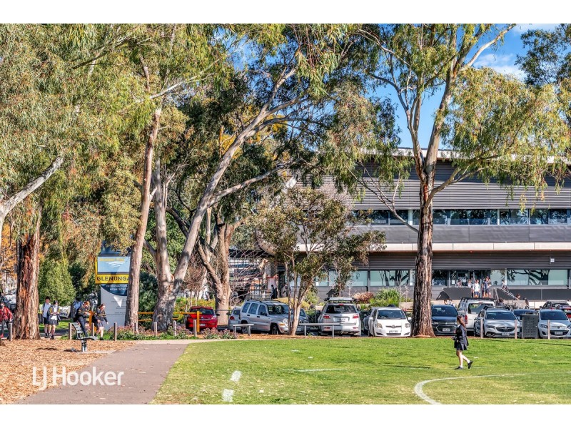 12 Bevington Road, Glenunga SA 5064