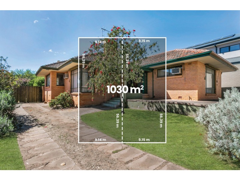 3 Radnor Avenue, Rostrevor SA 5073