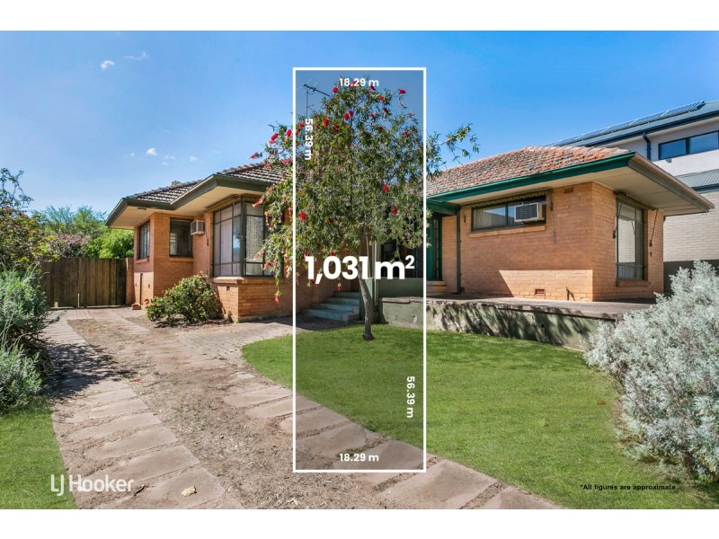 3 Radnor Avenue, Rostrevor SA 5073