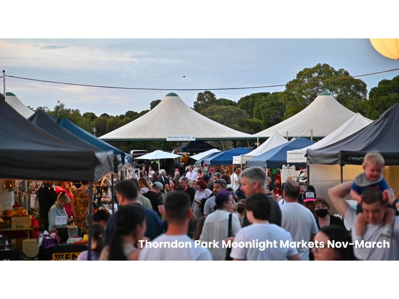 4 Carr Crescent, Newton SA 5074