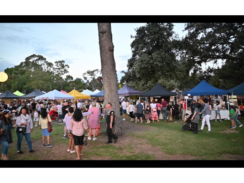 4 Carr Crescent, Newton SA 5074