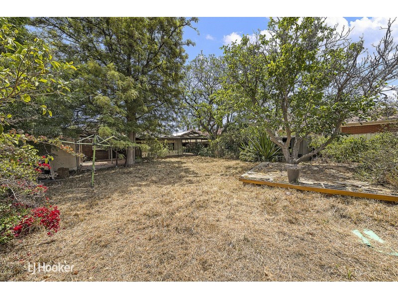 11 McArthur Avenue, Kurralta Park SA 5037