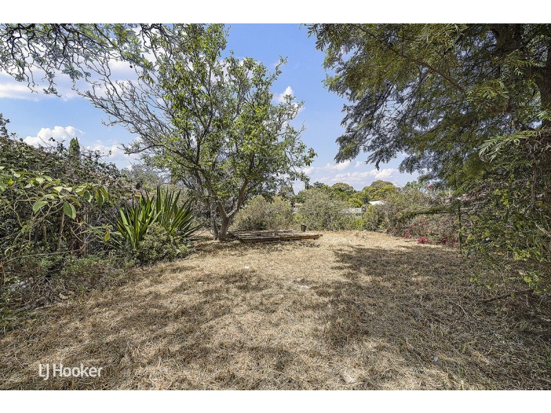 11 McArthur Avenue, Kurralta Park SA 5037