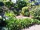 119 Grant Avenue, Toorak Gardens SA 5065