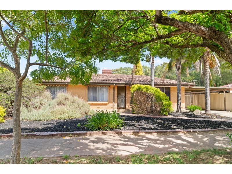 20 Brian Grove, Paradise SA 5075