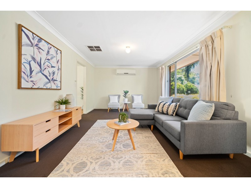 20 Brian Grove, Paradise SA 5075