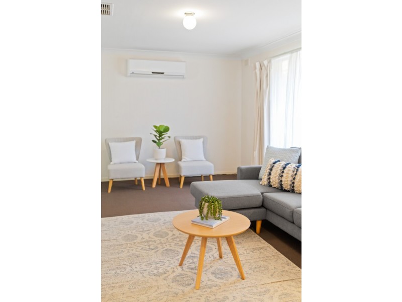 20 Brian Grove, Paradise SA 5075