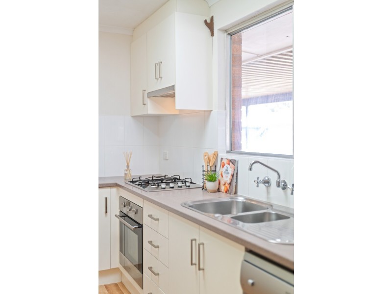 20 Brian Grove, Paradise SA 5075