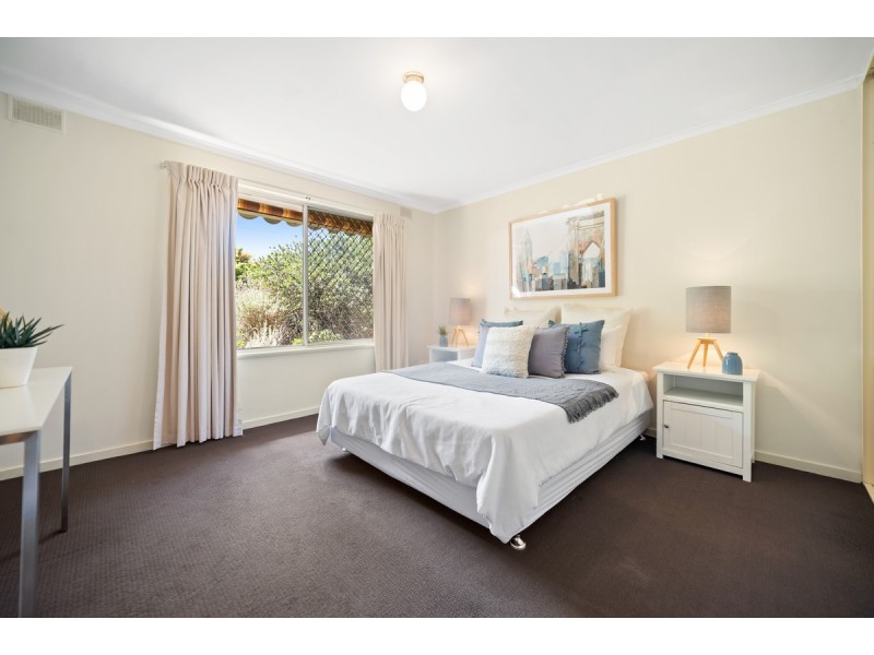 20 Brian Grove, Paradise SA 5075