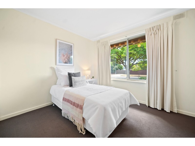 20 Brian Grove, Paradise SA 5075