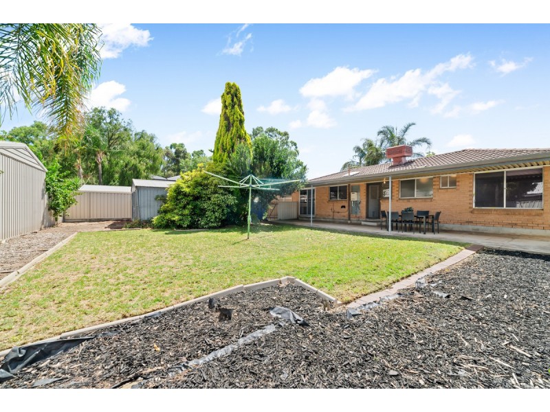 20 Brian Grove, Paradise SA 5075