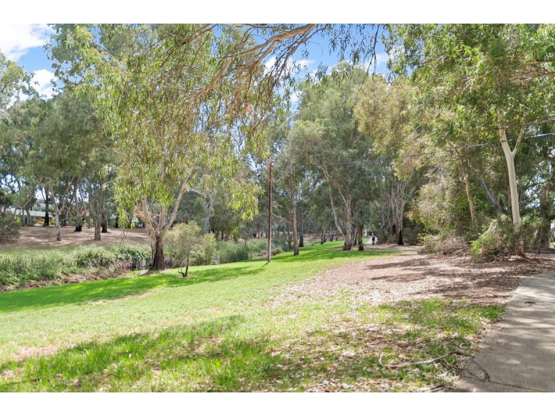 20 Brian Grove, Paradise SA 5075