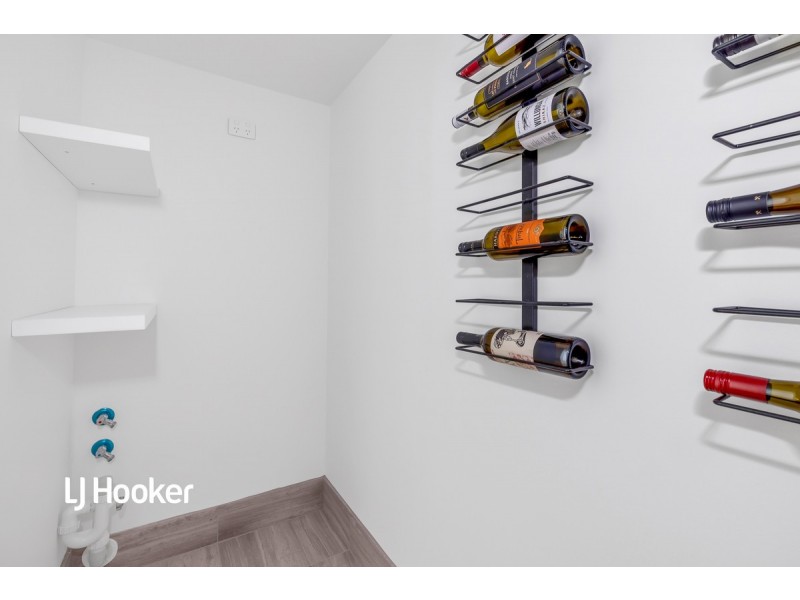 44 Appelbee Crescent, Norwood SA 5067