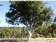 304 Lower Athelstone Road, Athelstone SA 5076