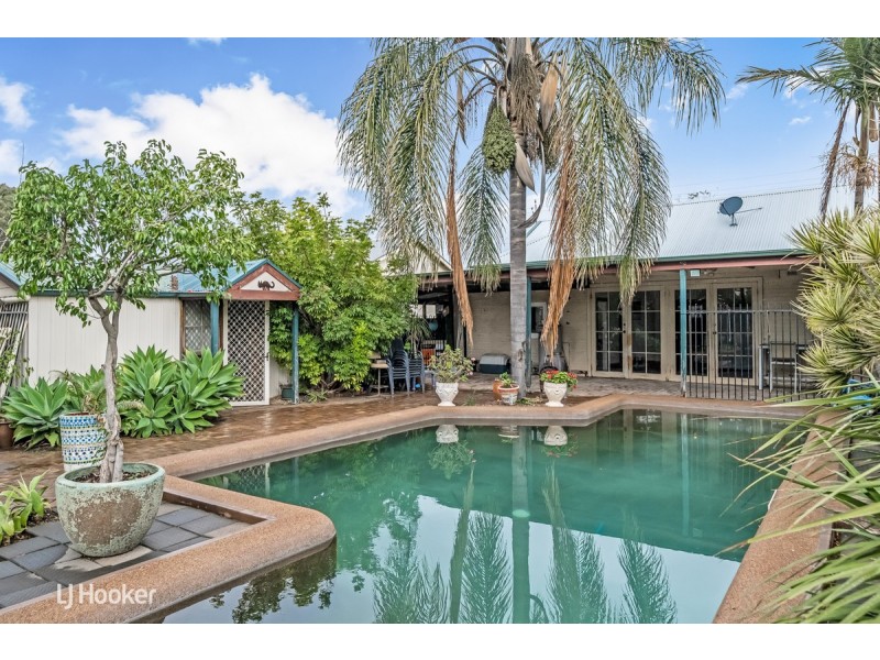 16 Rosetta Street, Collinswood SA 5081