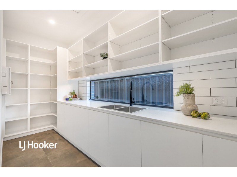 20 Amherst Avenue, Trinity Gardens SA 5068