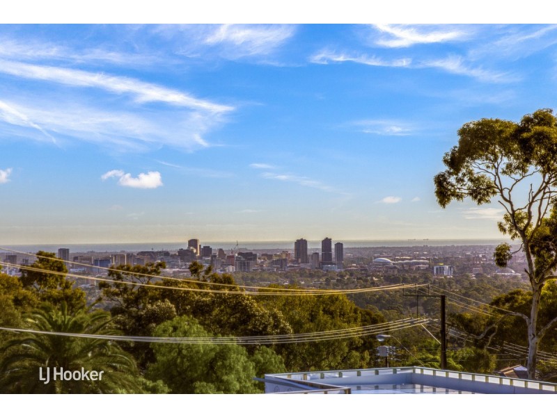 3 Thorpe Road, Burnside SA 5066
