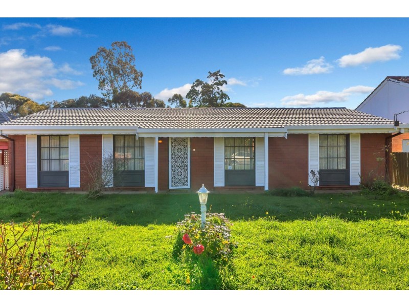 16 Lincoln Road, Paradise SA 5075