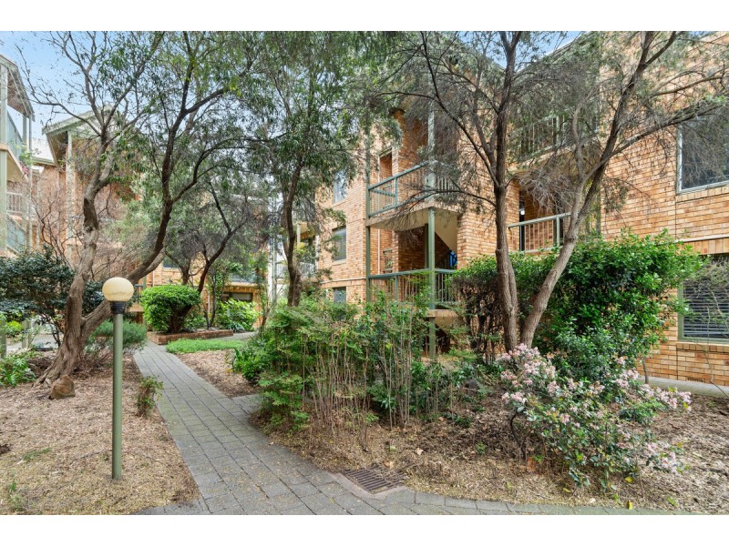 34/22 Cambridge Street, North Adelaide SA 5006