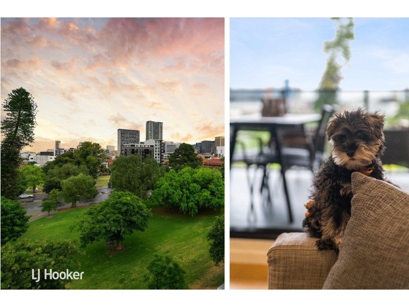 401/26 Hurtle Square, Adelaide SA 5000