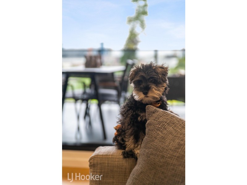 401/26 Hurtle Square, Adelaide SA 5000