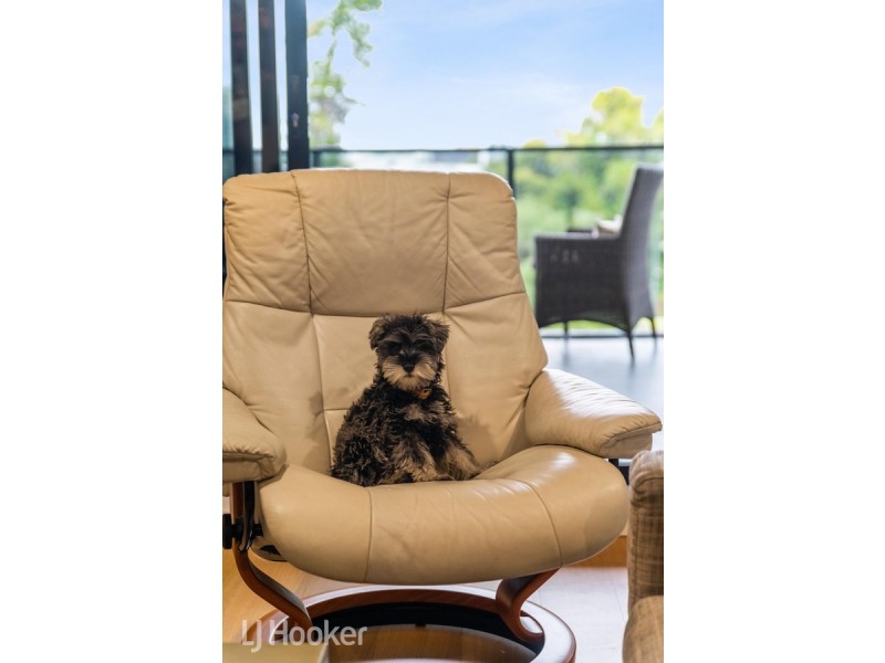 401/26 Hurtle Square, Adelaide SA 5000