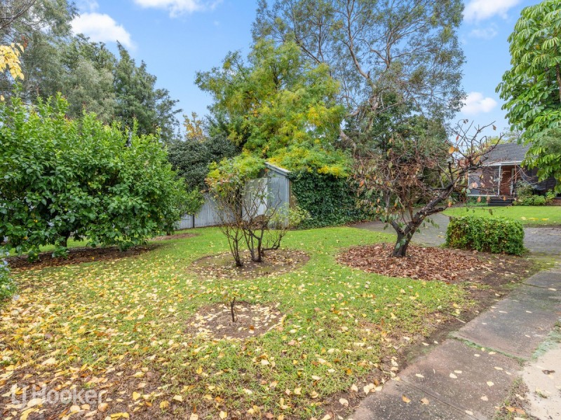 16 Radnor Avenue, Rostrevor SA 5073
