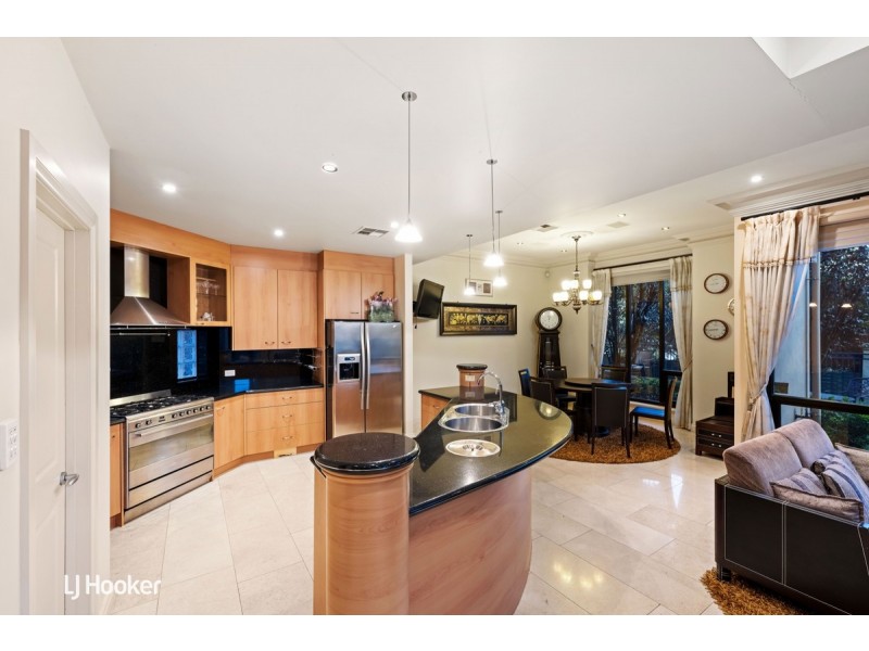 6 Mckinlay Court, Mawson Lakes SA 5095