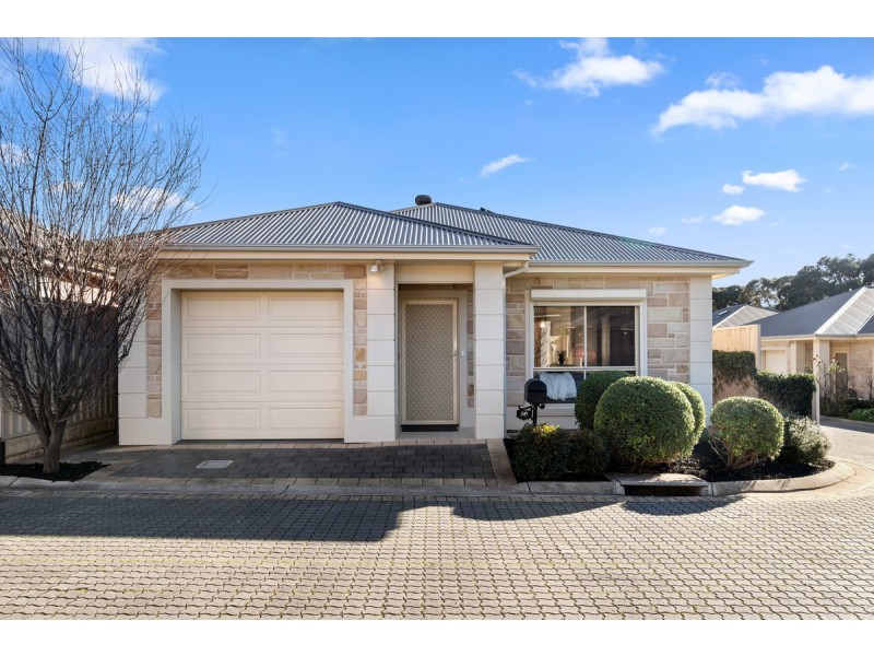 50/3 Belperio Court, Paradise SA 5075