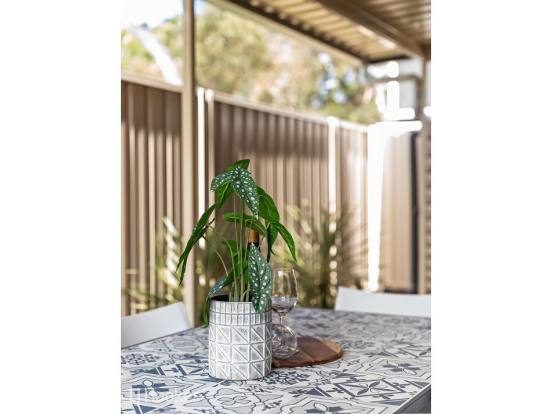 15/3 Belperio Court, Paradise SA 5075