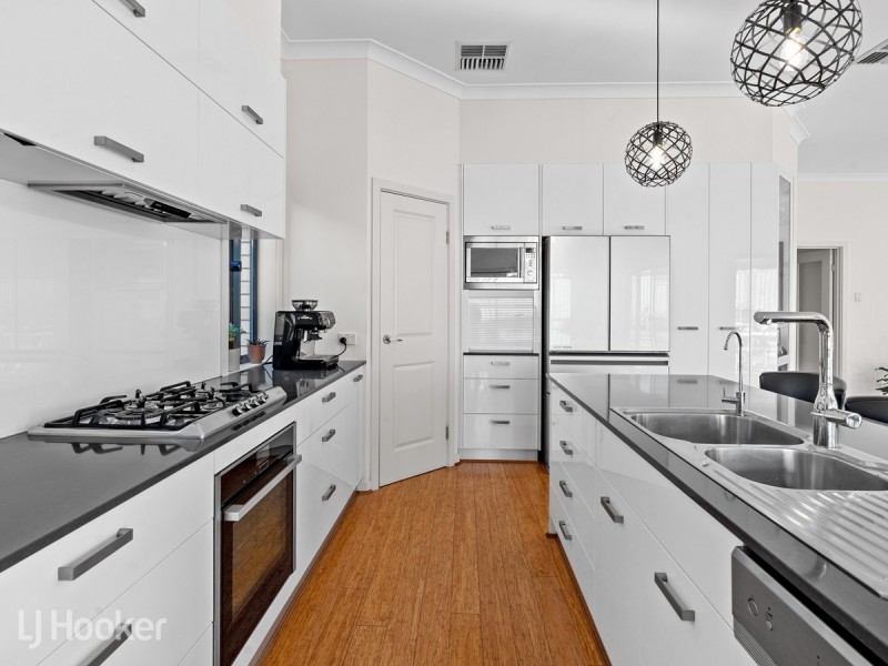 56 Green Street, St Morris SA 5068