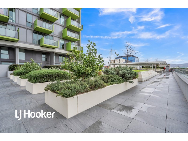 1603/29 Angas Street, Adelaide SA 5000