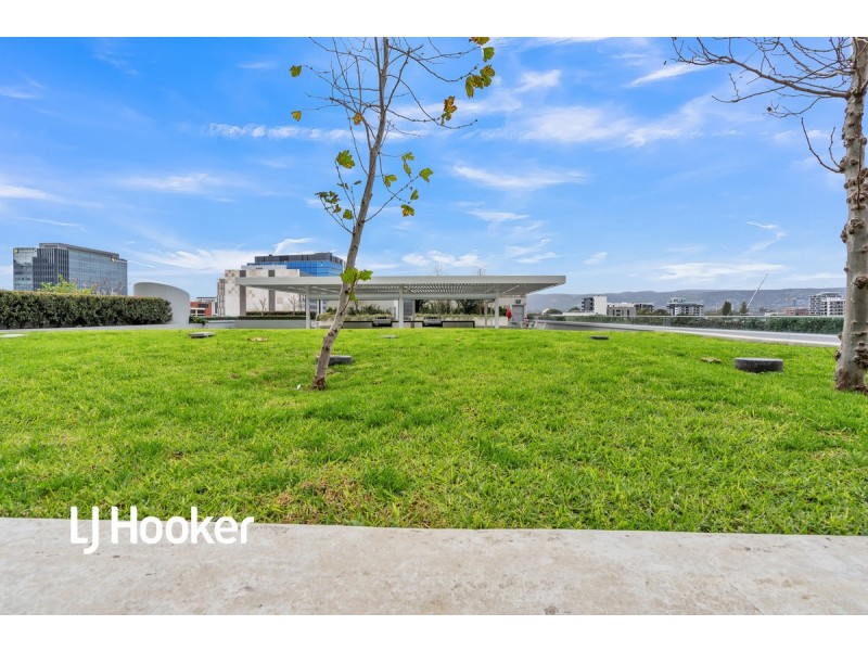 1603/29 Angas Street, Adelaide SA 5000