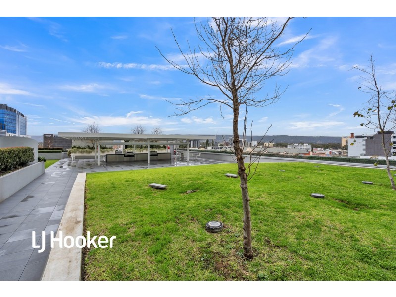 1603/29 Angas Street, Adelaide SA 5000