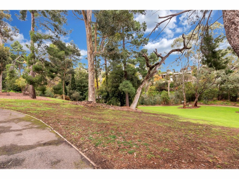 14 Kurrajong Avenue, Stonyfell SA 5066