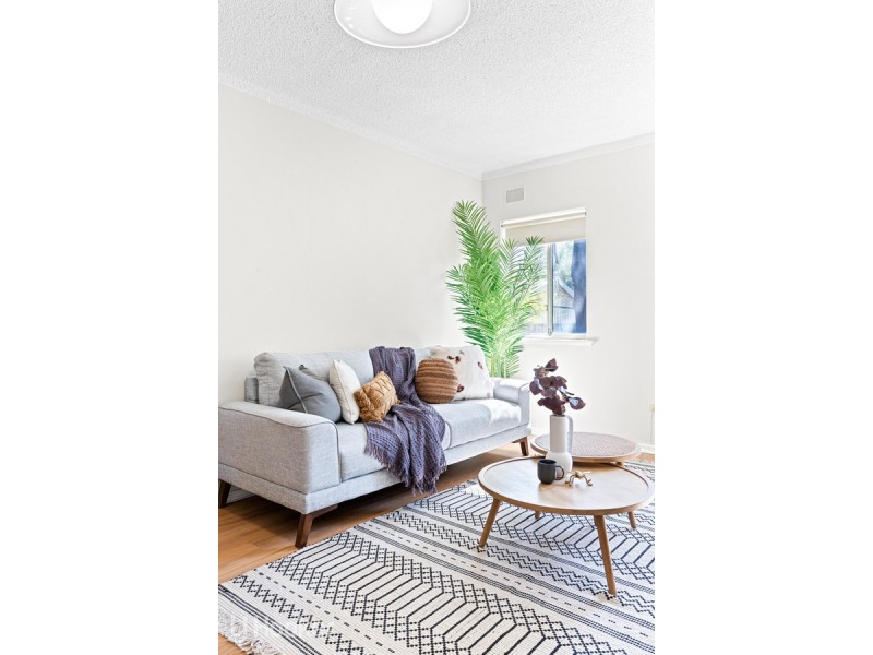 2 Botanic Grove, Campbelltown SA 5074