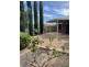 118a Crozier Avenue, Newton SA 5074