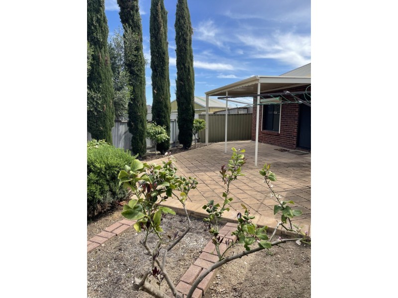 118a Crozier Avenue, Newton SA 5074