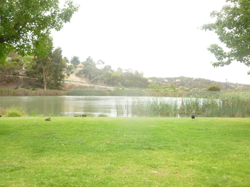 13 St Clair Parade, Greenwith SA 5125