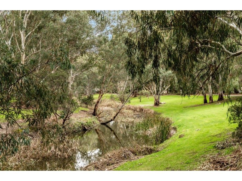 6 Riverview Drive, Paradise SA 5075
