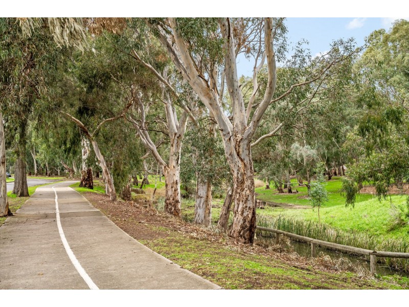 6 Riverview Drive, Paradise SA 5075